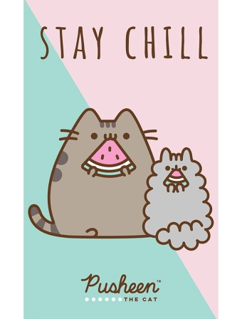 Detský uterák 30 × 50 cm ‒ Mačička Pusheen Stay Chill