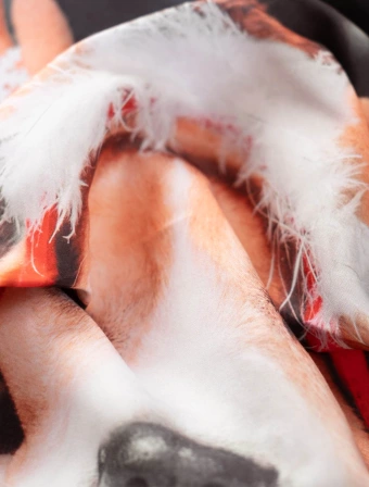Vánoční povlak na polštářek 40 × 40 cm – Pejsek Beagle